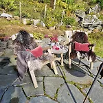 펜션 Cozy Family At Hamlagro 보스
